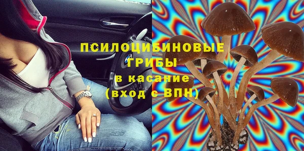 а пвп мука Армянск