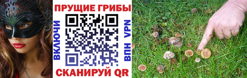 Псилоцибиновые грибы прущие грибы  наркотики  Исилькуль 